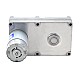 Fırçalı 12V DC Dişli Motoru 100Kg.cm/3.3RPM 1269:1 Dikdörtgen Mahmuzlu Dişli Kutusu