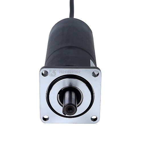 Fırçalanmış 24V DC Dişli Motoru 5Nm (708.06oz.in) 100RPM 18:1 Planet Dişli Kutusu ile IP66 155°C [311°F]