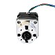Nema 17 Step Motor Bipolar L=34mm Dişli Oranı 5:1 Planet Dişli Kutusu