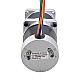 24V 172W 350RPM Dişli Fırçasız DC Motor 4.00Nm (566.45oz.in) 10:1 Yüksek Hassasiyetli Şanzıman 24V 172W 350RPM Dişli Fırçasız DC Motor 4.00Nm (566.45oz.in) 10:1 Yüksek Hassasiyetli Şanzıman