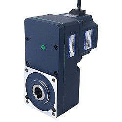 48V 250W 100RPM 20.00Nm (2832.23oz.in) 30:1 Dişli Fırçasız DC Motor Paralel İçi Boş Şaft Şanzımanlı