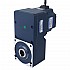 48V 250W 100RPM 20.00Nm (2832.23oz.in) 30:1 Dişli Fırçasız DC Motor Paralel İçi Boş Şaft Şanzımanlı