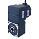 48V 250W 100RPM 20.00Nm (2832.23oz.in) 30:1 Dişli Fırçasız DC Motor Paralel İçi Boş Şaft Şanzımanlı