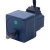 48V 40W 30RPM Dişli Fırçasız DC Motor 5.00Nm (708.06oz.in) 100:1 Düz Şanzıman