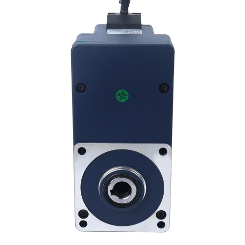 24V 60W 20RPM 21.00Nm (2973.84oz.in) 150:1 Dişli Fırçasız DC Motor Paralel İçi Boş Şaft Şanzımanlı