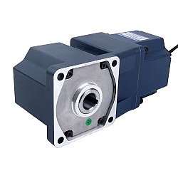 48V 200W 100RPM Dişli BLDC Motor 14.03Nm (1986.97oz.in) 30:1 Dik Açılı Şanzıman