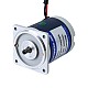 Fırçalanmış 24V 10W 2.09Nm (295.97oz.in) 30RPM 100:1 Düz Şanzımanlı DC Dişli Motoru Fırçalanmış 24V 10W 2.09Nm (295.97oz.in) 30RPM 100:1 Düz Şanzımanlı DC Dişli Motoru
