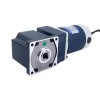 Fırçalanmış 24V 60W 8.00Nm (1132.90oz.in) 30RPM 100:1 Dik Açılı Şanzıman DC Dişli Motoru