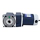 Fırçalanmış 12V 60W 6,75Nm (955,88oz.in) 60RPM 50:1 Dik Açılı Şanzıman DC Dişli Motoru Fırçalanmış 12V 60W 6,75Nm (955,88oz.in) 60RPM 50:1 Dik Açılı Şanzıman DC Dişli Motoru