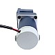 Fırçalanmış 48V 250W 40.00Nm (5664.48oz.in) 18RPM 100:1 Dik Açılı Şanzıman DC Dişli Motoru Fırçalanmış 48V 250W 40.00Nm (5664.48oz.in) 18RPM 100:1 Dik Açılı Şanzıman DC Dişli Motoru