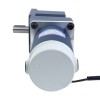 Fırçalanmış 48V 250W 40.00Nm (5664.48oz.in) 10RPM 180:1 Dik Açılı Şanzıman DC Dişli Motoru
