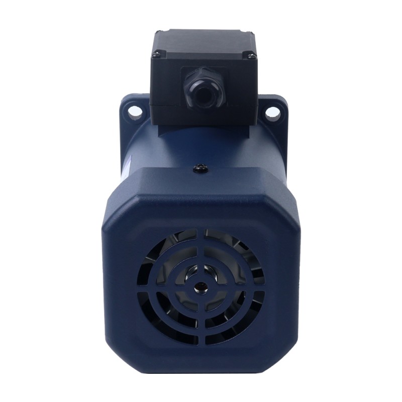 200W 110VAC 67,5RPM 21,00Nm (2973,84oz.in) Flanşlı 104mm Dik Açı Şanzıman İçi Boş Şaft Tek Fazlı AC Endüksiyon Motoru