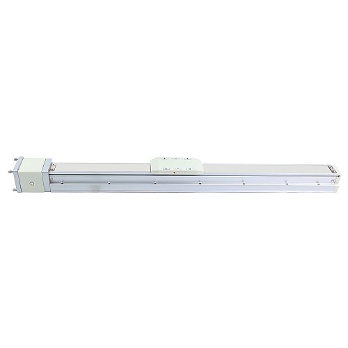LG5 Serisi Bilyalı Vidalı Tahrikli Maksimum Yatay/Dikey Yük Kapasitesi 15kg/5kg Strok 500mm Kapalı Döngü Adım Motoru için LG5 Serisi Bilyalı Vidalı Tahrikli Maksimum Yatay/Dikey Yük Kapasitesi 15kg/5kg Strok 500mm Kapalı Döngü Adım Motoru için
